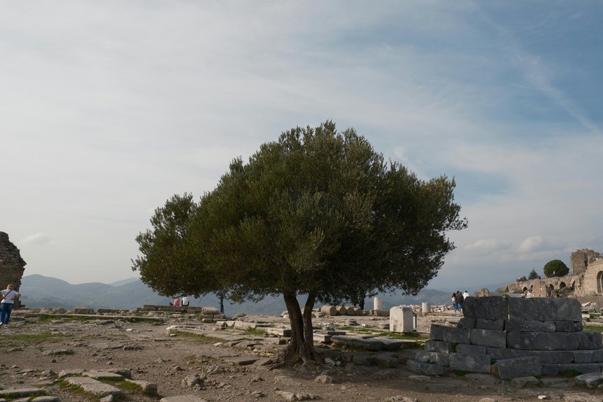 etherborne grimoire of fractals