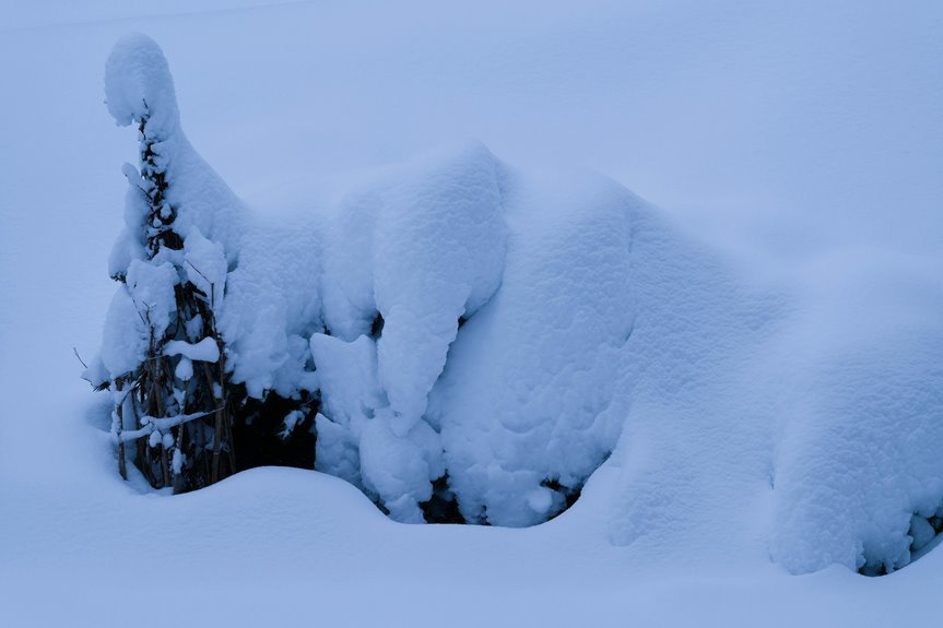 frostline haven location identifier