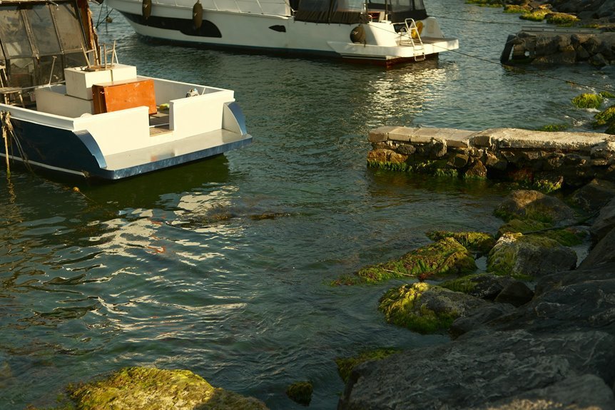 nebula stone harbor location