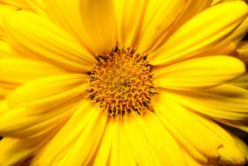 prism ember core identification