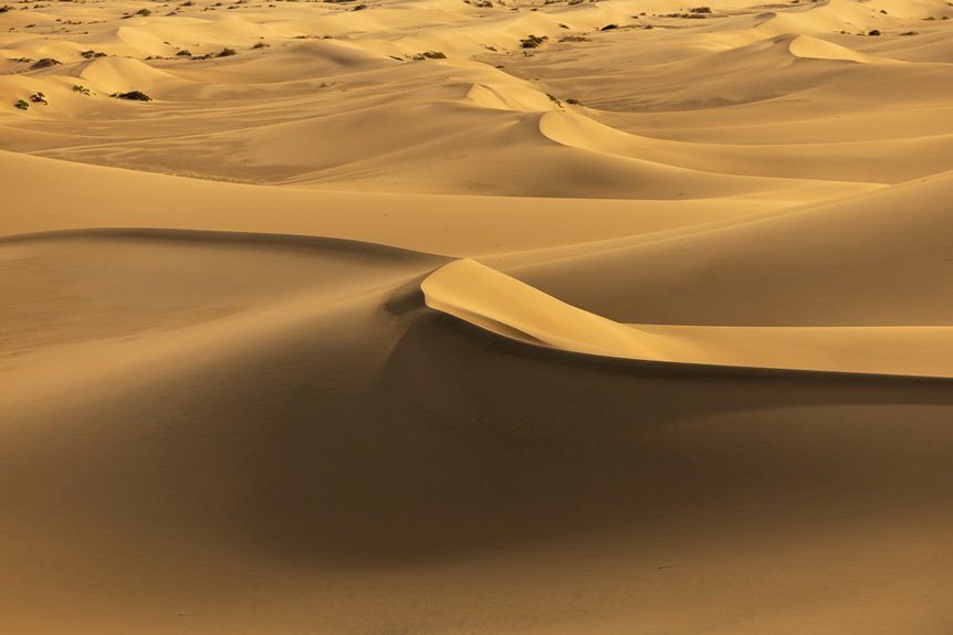 silent terra anchor model