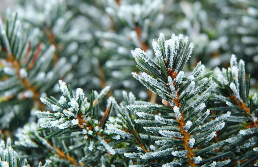 titanbound crystal orbit index