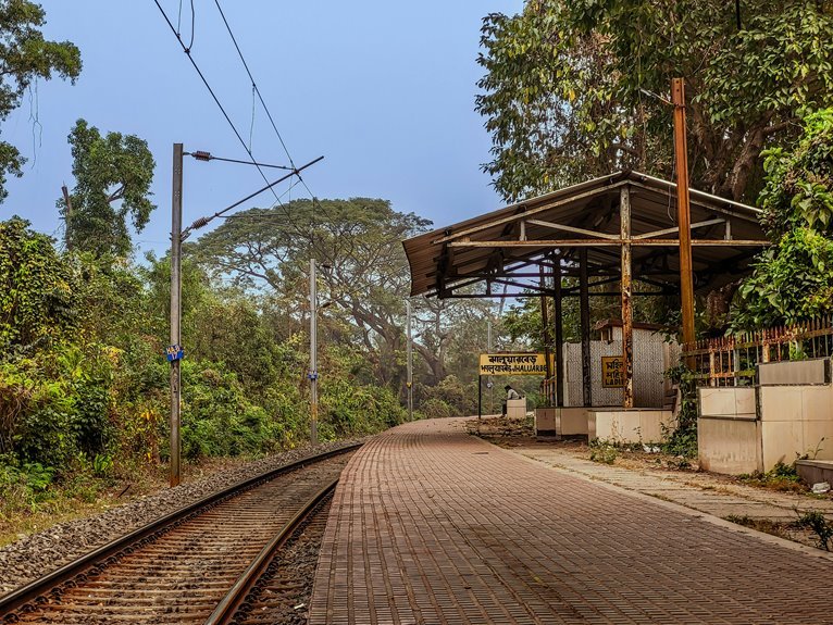 comprehensive platform insights provided