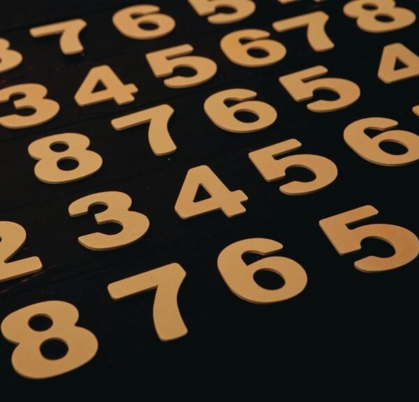 sanskrit studies contact numbers