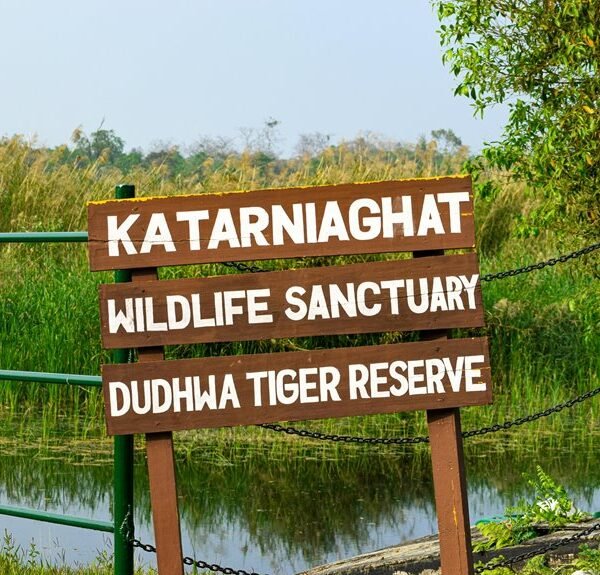 wildlife sanctuaries contact numbers