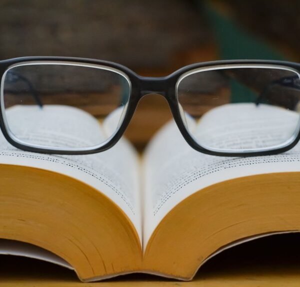 insights for curious readers
